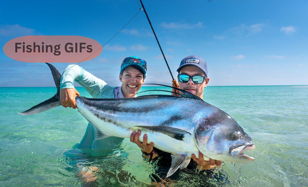 Fishing GIFs