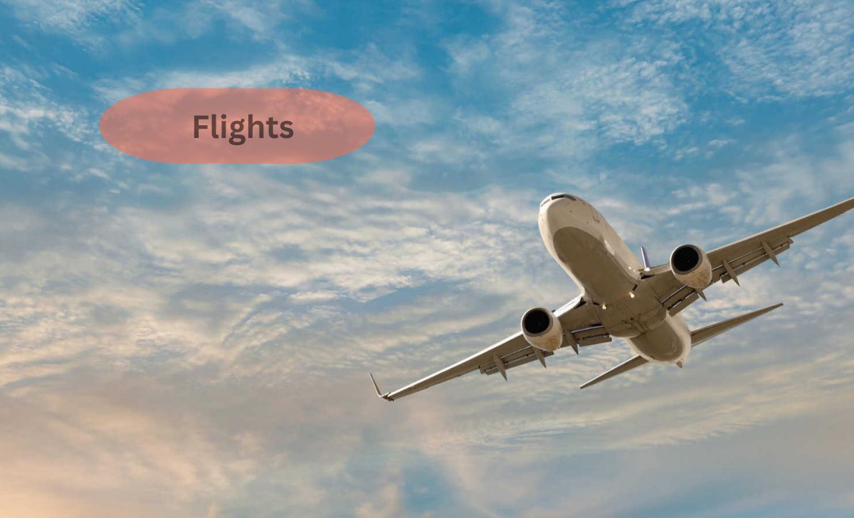 Flights