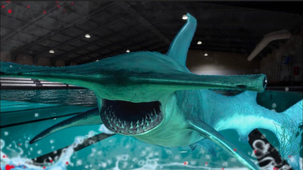 Official Sharks and Minnows Game Rules