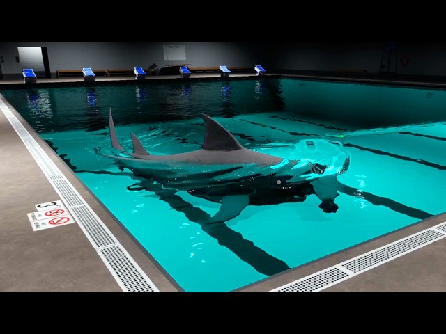 What Is Sharks and Minnows?