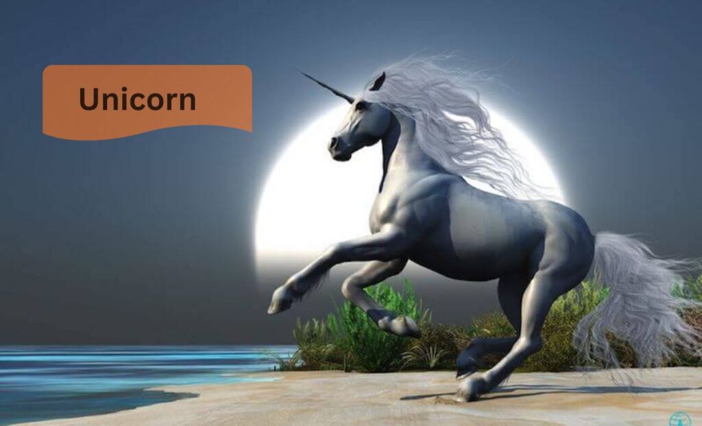Unicorn