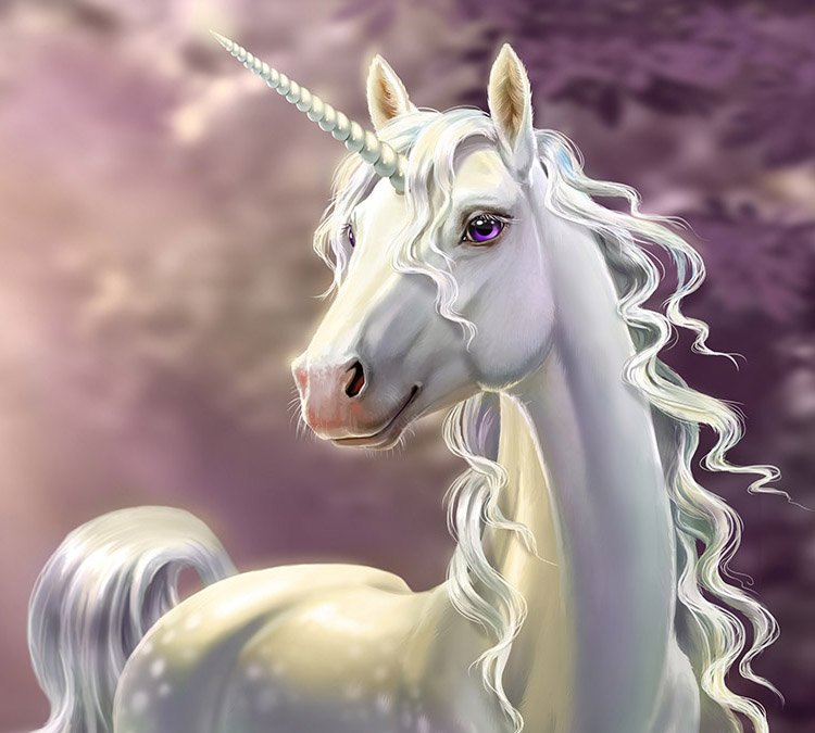 What Is a Unicorn?
