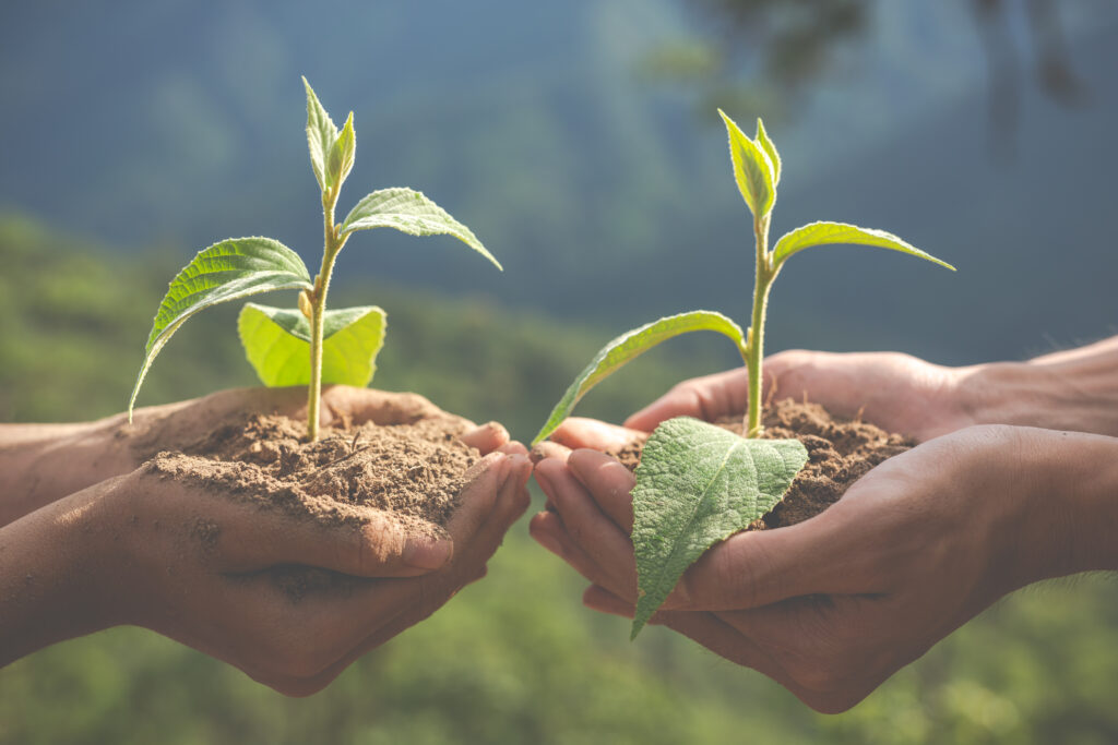 Environmental and Agricultural Advantages